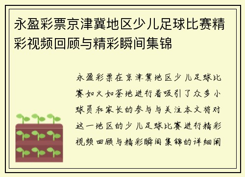 永盈彩票京津冀地区少儿足球比赛精彩视频回顾与精彩瞬间集锦
